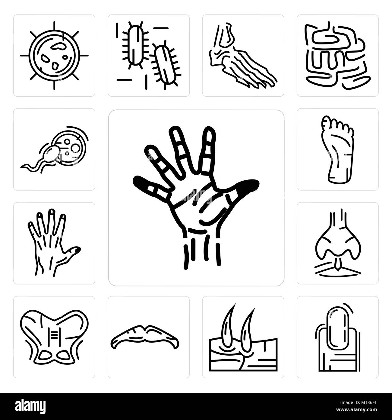 Set di 13 semplici icone modificabili come il palmo della mano, unghia lunga, gli uomini del ginocchio, grandi baffi, anca umana, narice, mano, piede, la fecondazione può essere usato per m Illustrazione Vettoriale