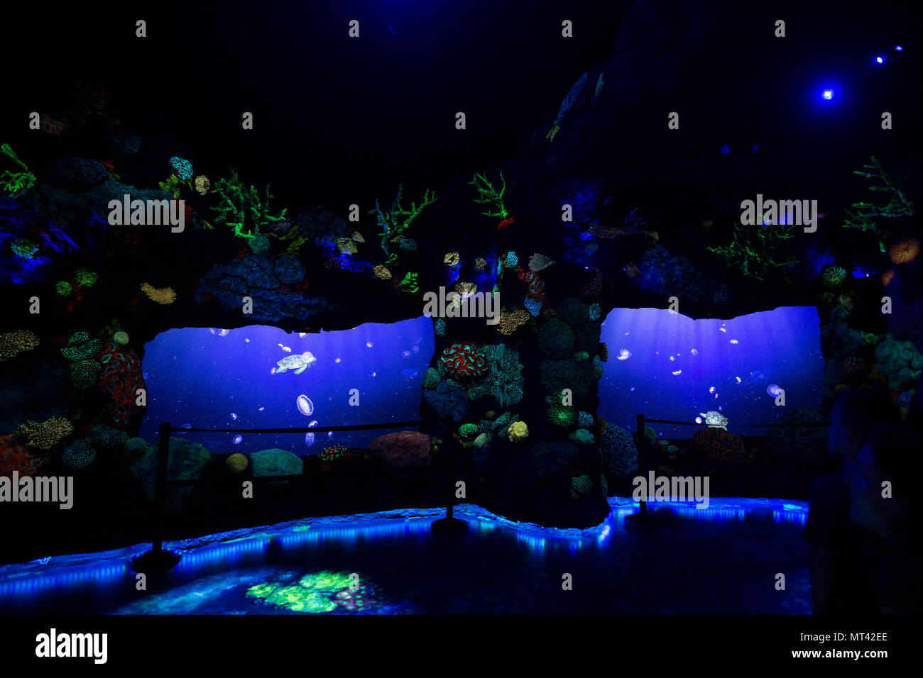 Ocean Odyssey Coral reef presentano in Times Square a New York City. Foto Stock