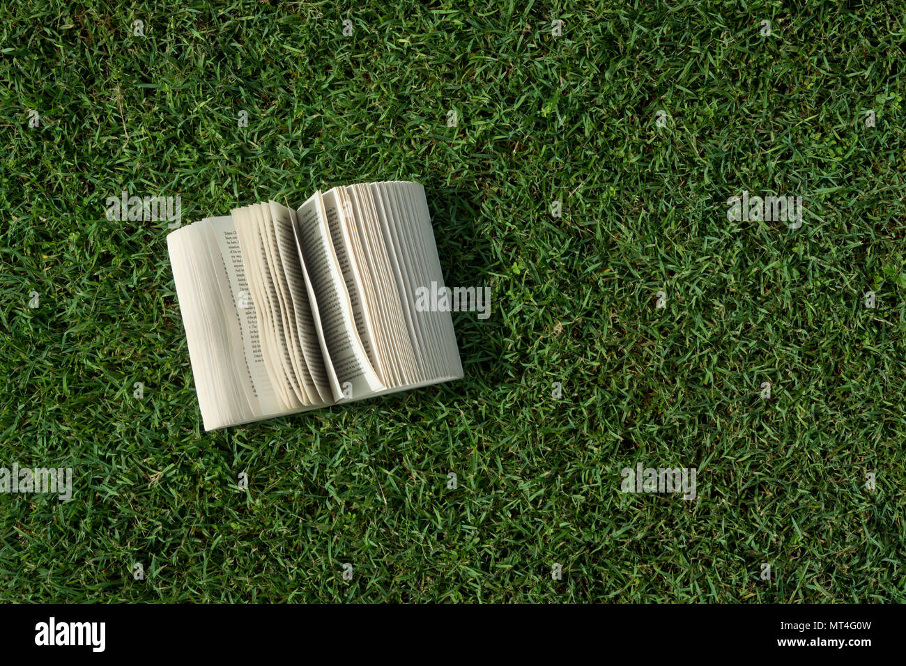 Un libro aperto sull'erba. Foto Stock