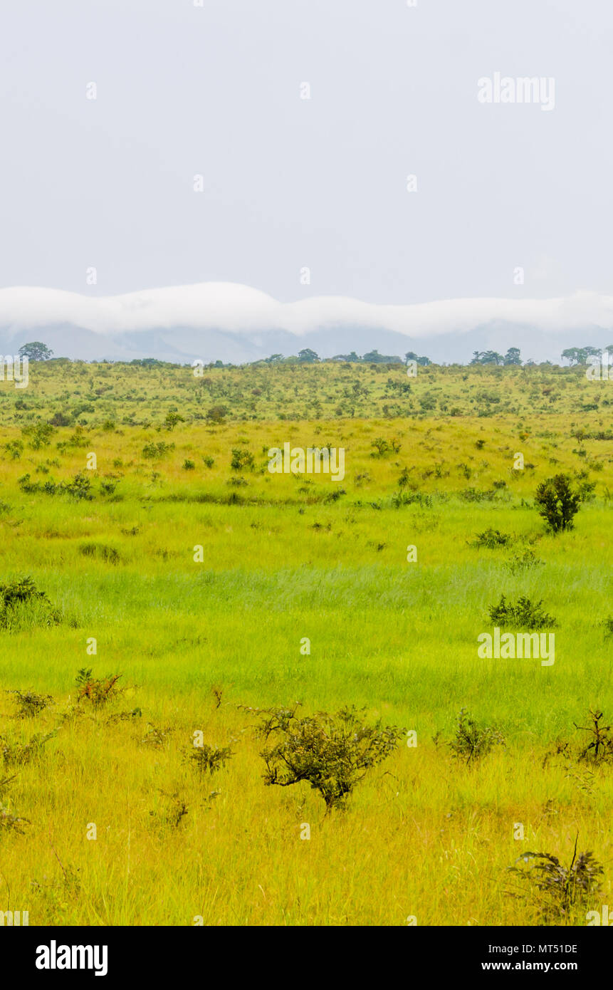 Colline e lussureggianti e verdi di erba e soffici nuvole bianche nella campagna della Repubblica del Congo, Africa centrale Foto Stock