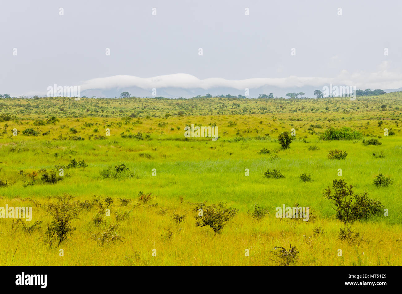 Colline e lussureggianti e verdi di erba e soffici nuvole bianche nella campagna della Repubblica del Congo, Africa centrale Foto Stock