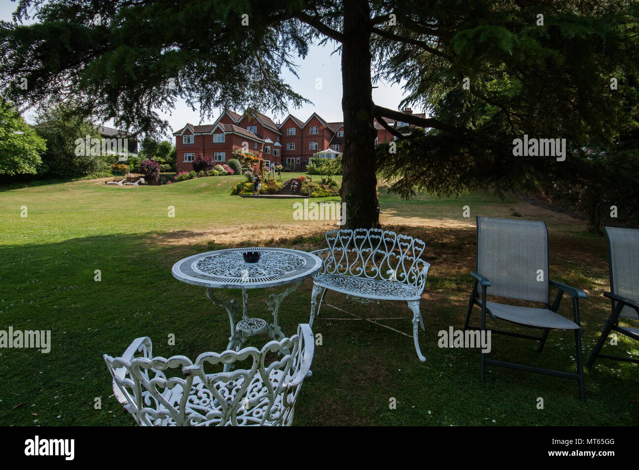 Fiori nel giardino sul retro di Grasmere House houtel a Salisbury, England, Regno Unito Foto Stock