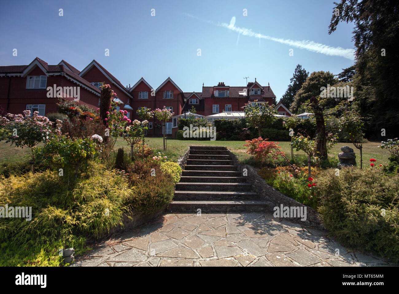 Fiori nel giardino sul retro di Grasmere House houtel a Salisbury, England, Regno Unito Foto Stock