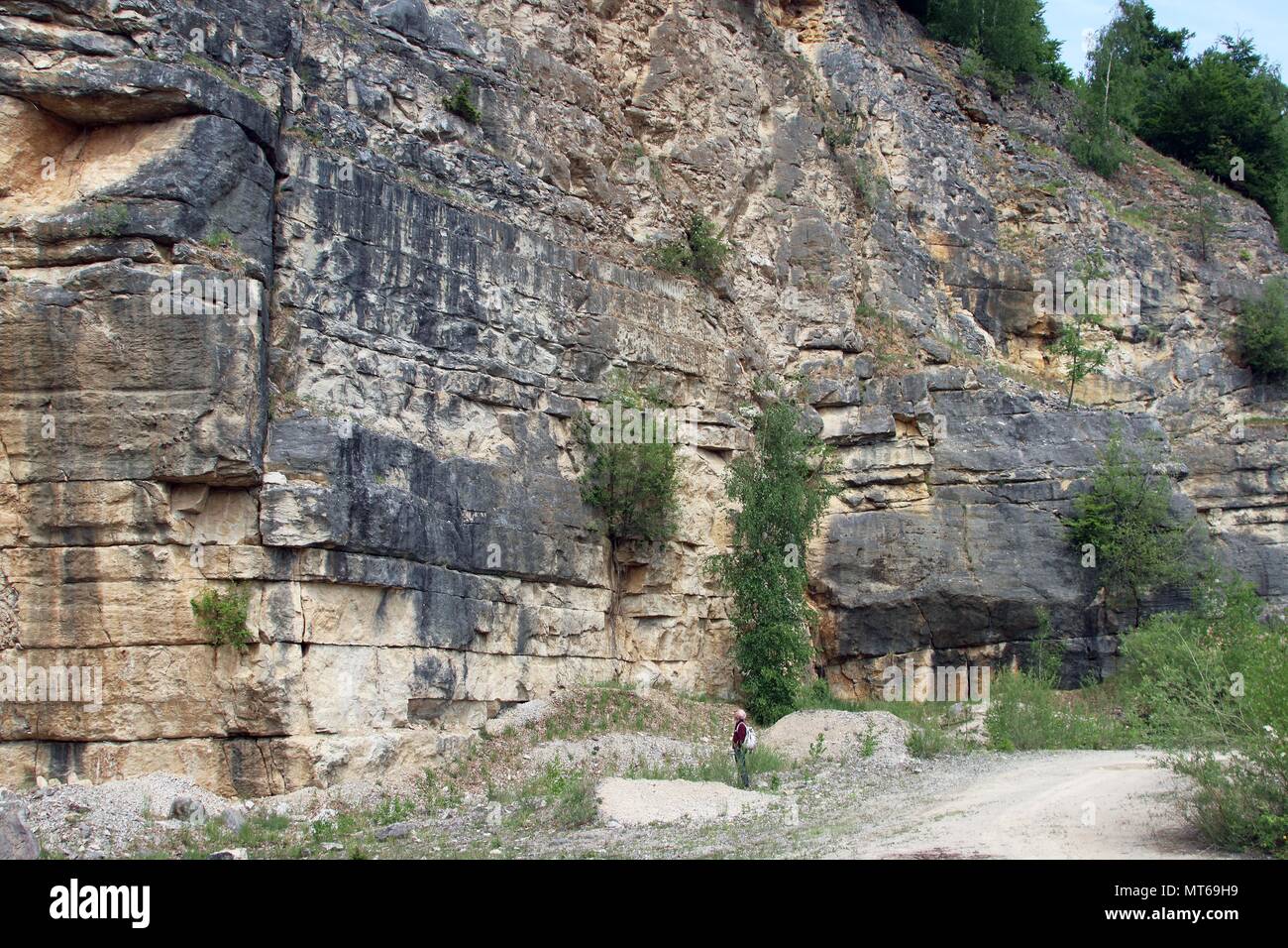 Abbandonata pietra di cava e una nana visitor godendo di vista Altmuehltal nei pressi di Solnhofen Baviera Germania Foto Stock