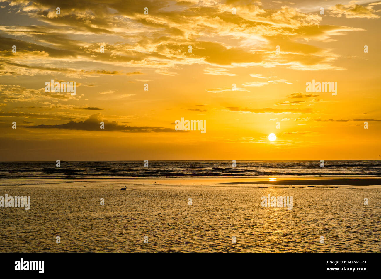 Incredibile tramonto dorato con nuvole drammatico, sagome di uccelli tra cui un pellicano e calma oceano, Senegal, Africa Foto Stock