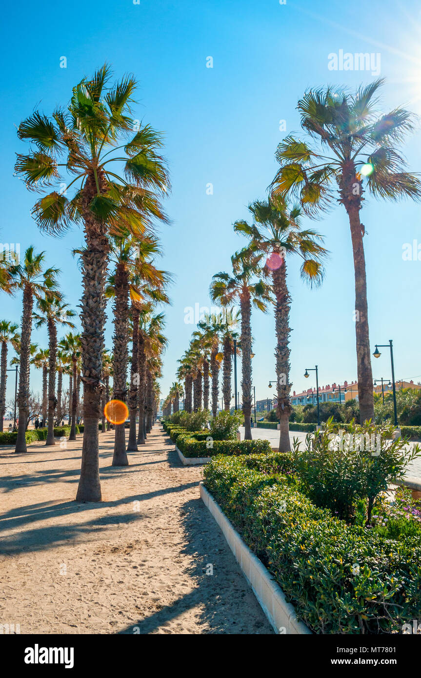Spiaggia di Malvarrosa, Valencia, Spagna Foto Stock