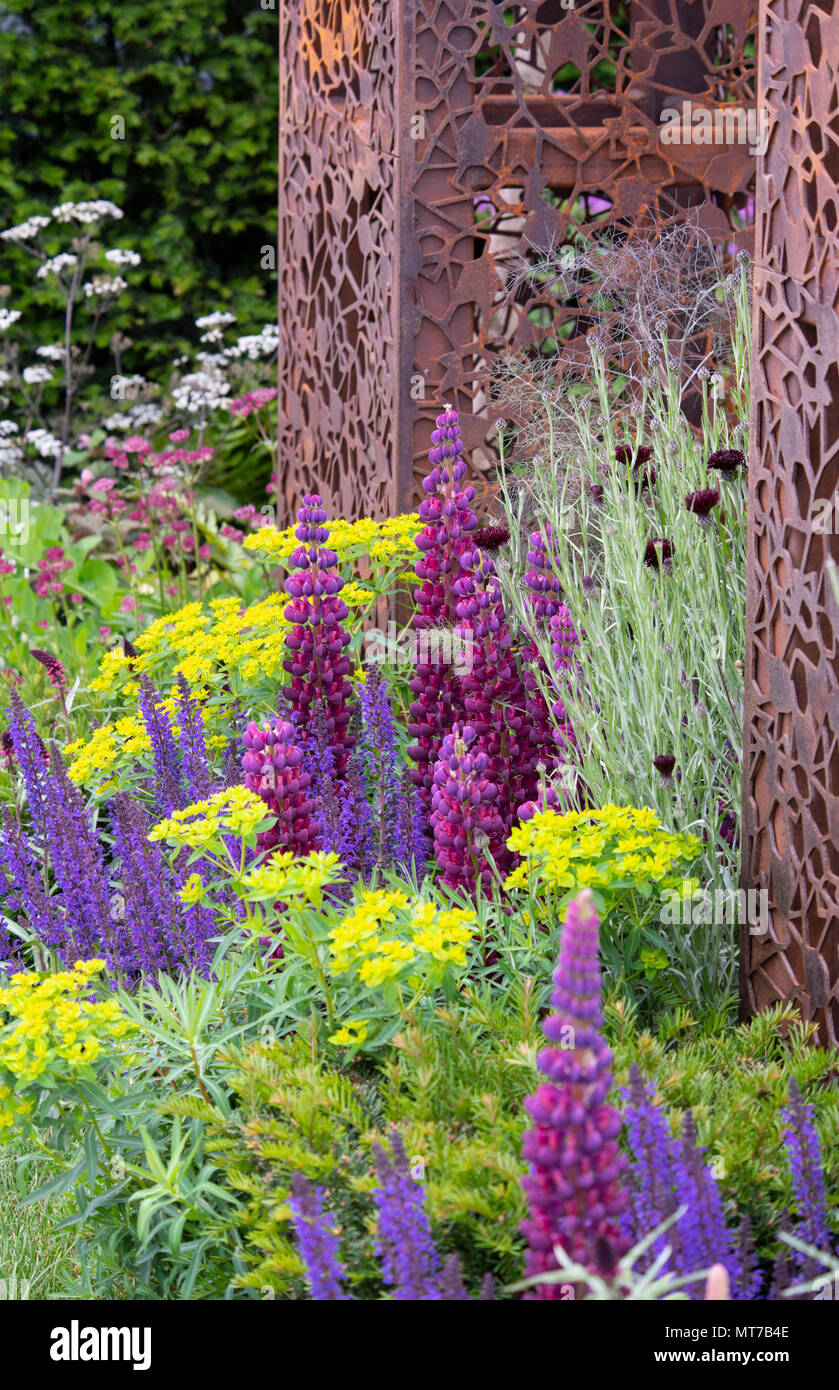 Lupinus 'Masterpiece' e Salvia sylvestris 'Mainacht' intorno ad un taglio laser acciaio pilastro nel flusso Urbano garden alla RHS Chelsea Flower Show 2018, L Foto Stock
