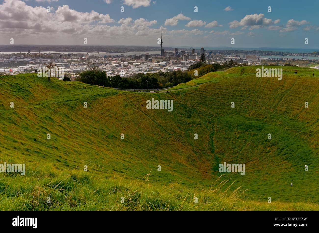 Monte Eden, Auckland, Isola del nord, Nuova Zelanda Foto Stock
