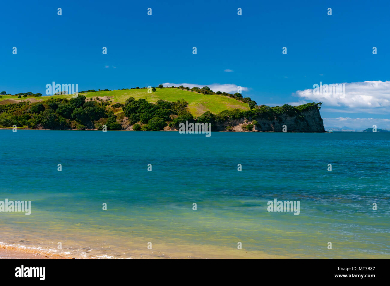 Te Harhui Bay, Shakespear Parco Regionale, Nuova Zelanda Foto Stock