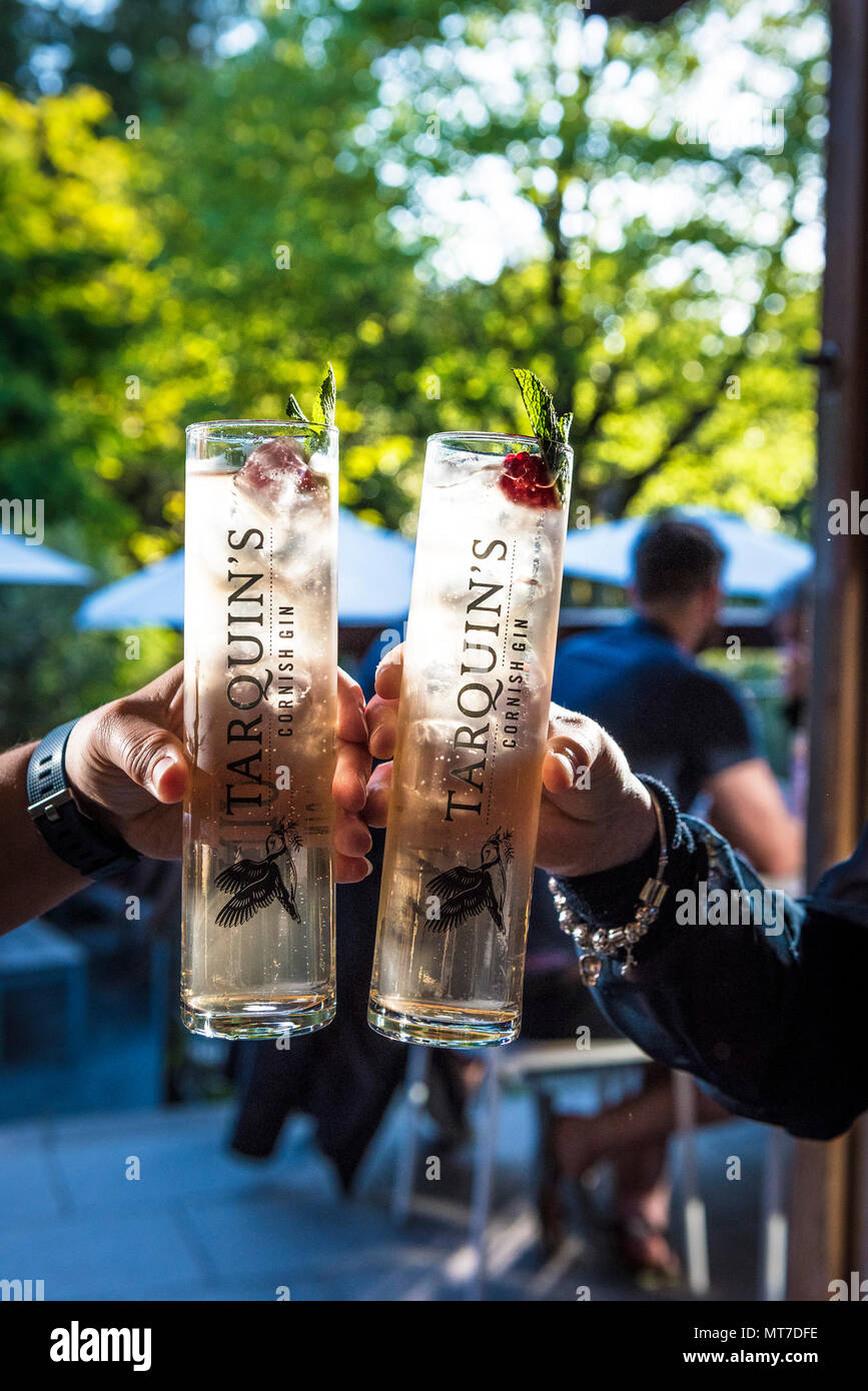 Bicchieri di gin tonic in corrispondenza di un evento al Giardino Trebah in Cornovaglia. Foto Stock