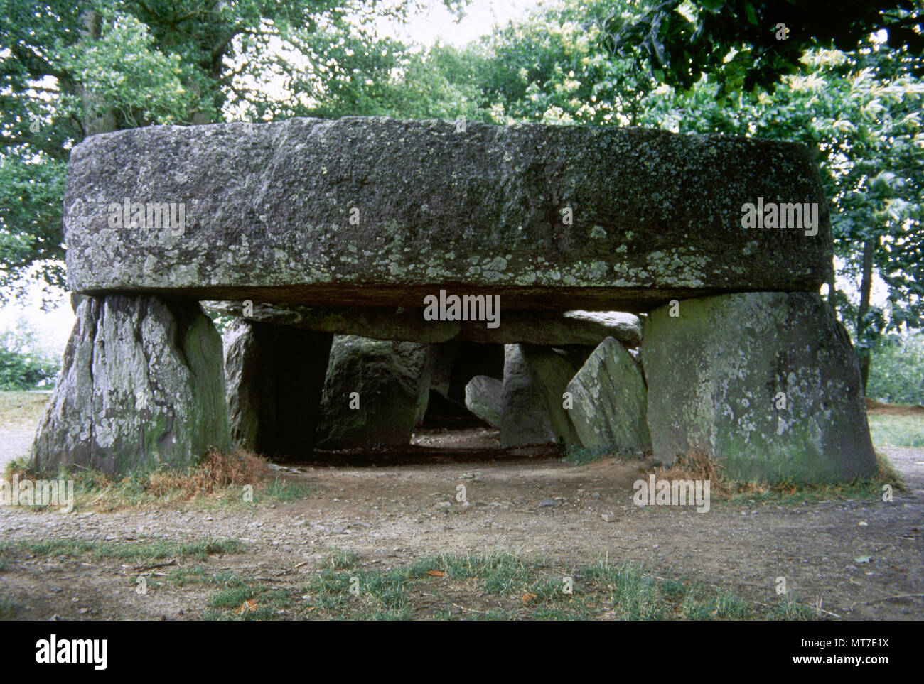 Francia, Brittany. Essé. La Roche-aux-tasse (l'Faireis' Rock). Passaggio del neolitico tomba. Departament di Ille-et-Vilaine. Passaggio coperto di blocchi di pietra. 3000- 2500 BC. Foto Stock