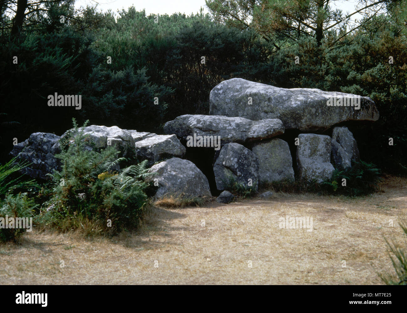 Dolmen di Mane-Kerioned (Pixies' tumulo). 3500 BC. Carnac pietre. Epoca megalitica. Dipartimento di Morbihan, Carnac comune, Brittany, Francia. Foto Stock