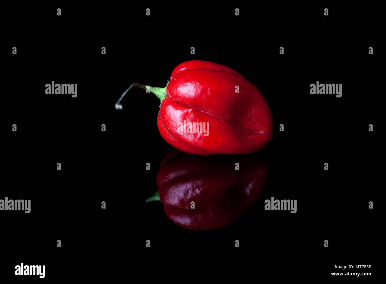 Red Hot peperoncino habanero su sfondo nero con la riflessione Foto Stock