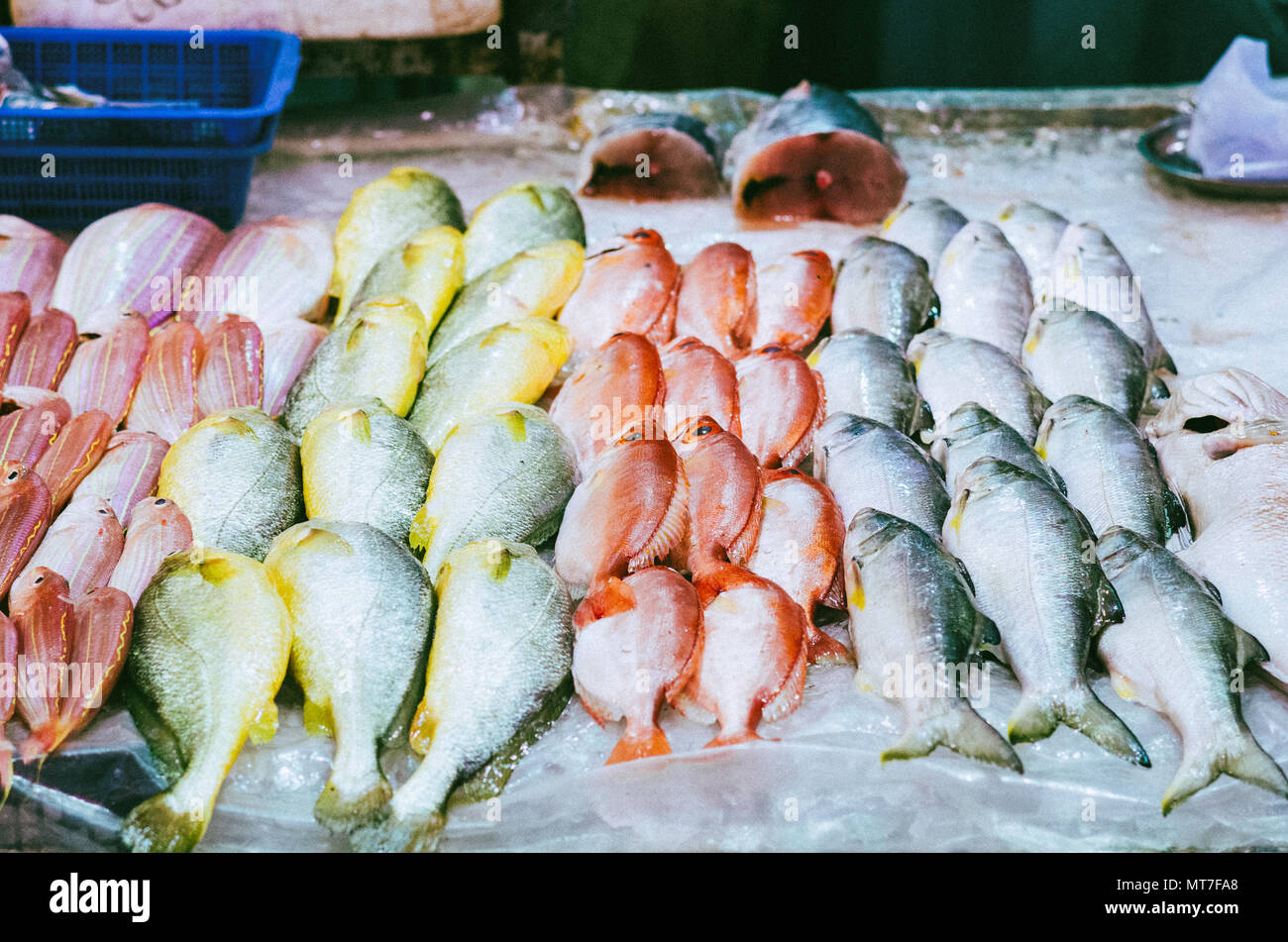 Vari tipi di pesce su Hong Kong mercato del pesce Foto Stock
