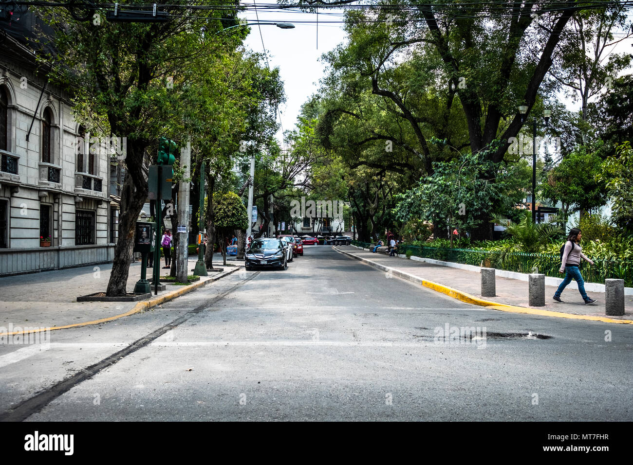 Street a Roma Norte, Città del Messico. Foto Stock
