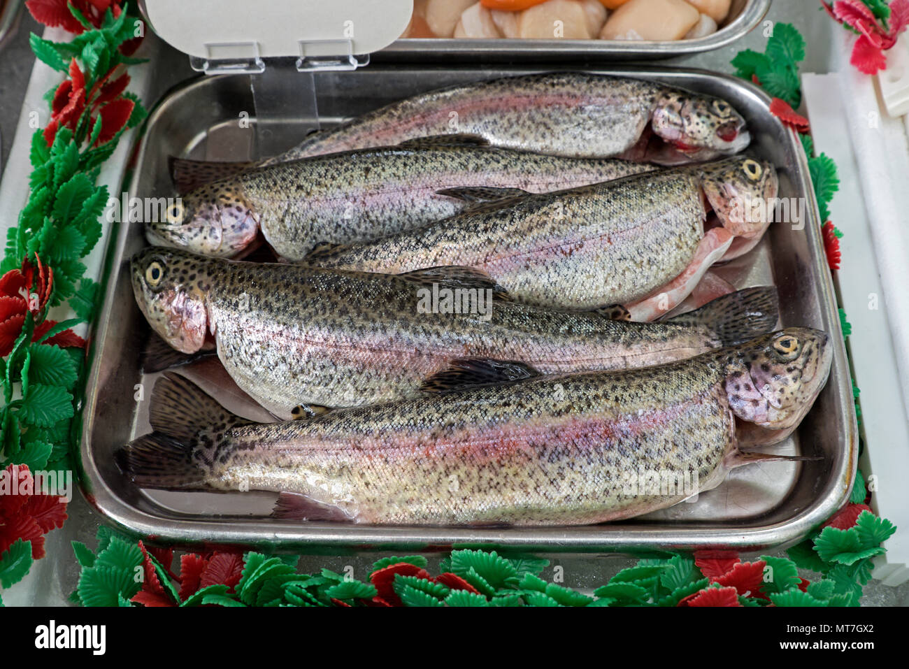 Trote arcobaleno sulla vendita a Stockbridge mercato di domenica a Edimburgo, Scozia. Foto Stock