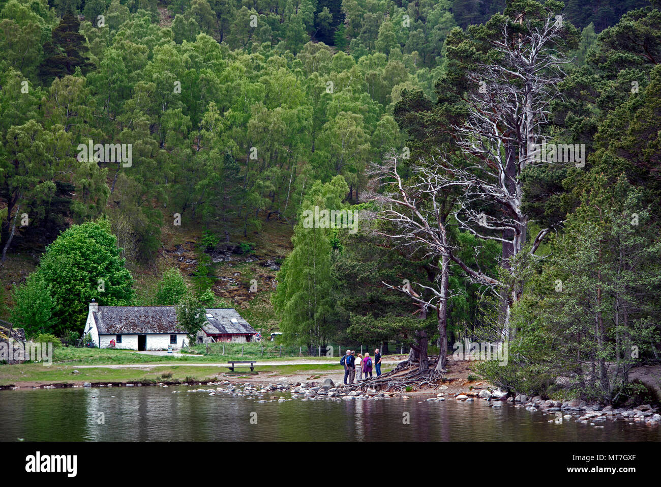 Centro visitatori dal lato del Loch un Eilein vicino a Aviemore nel Parco Nazionale di Cairngorms, Scotland, Regno Unito. Foto Stock