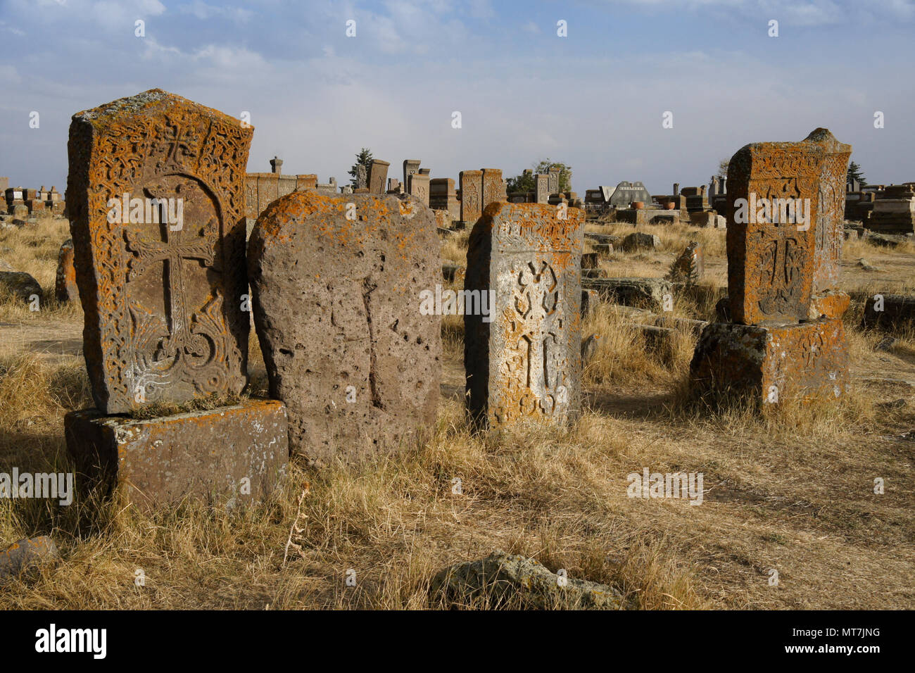 Licheni e muschi-incrostati di khachkars (khatchkars, o cross-pietre) a Noratus (Noraduz) cimitero, Noratus (Noraduz), Armenia Foto Stock