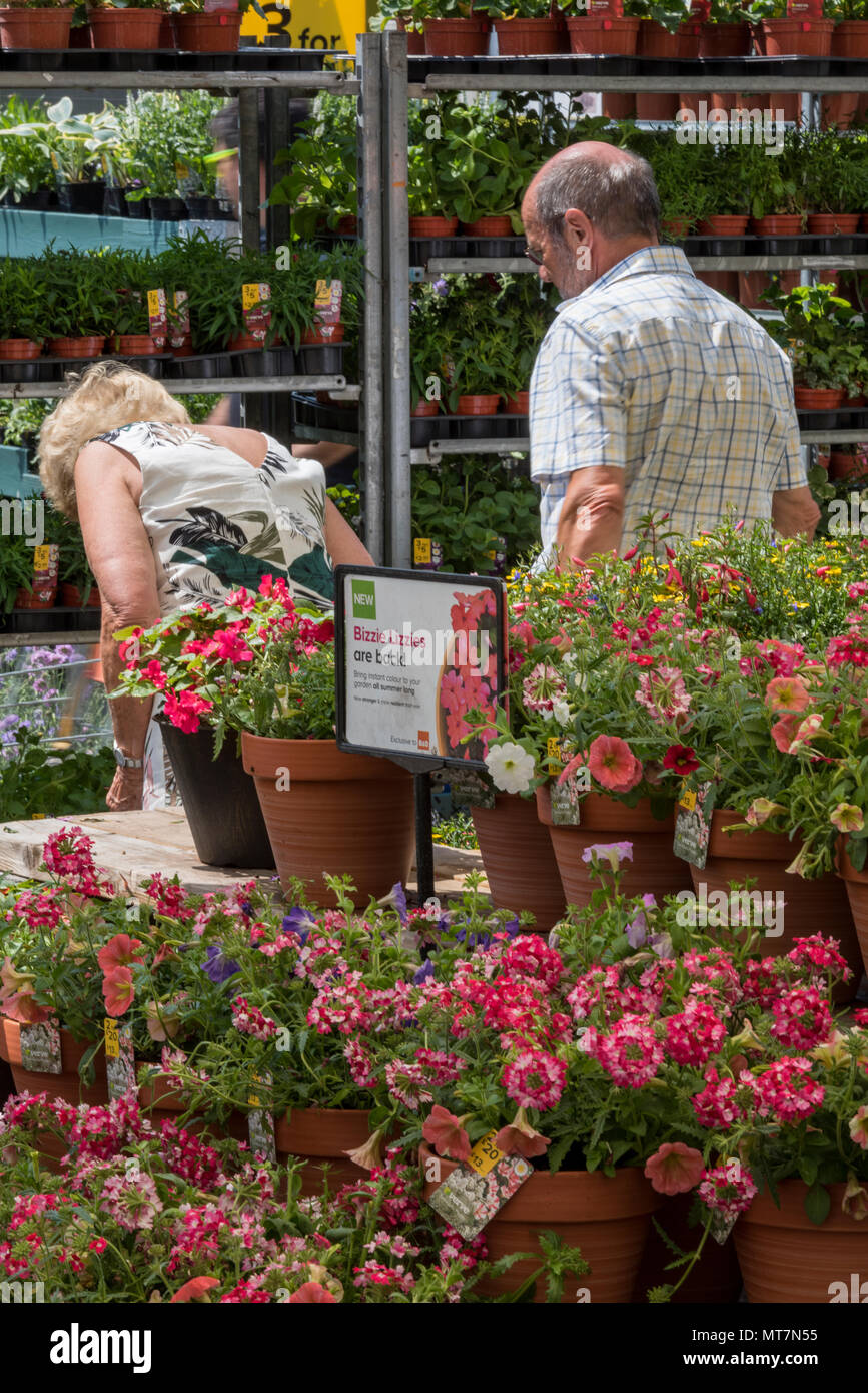 Un centro di età coppia in pensione in una calda giornata estiva guardando le piante da acquistare per il giardino in un vivaio o centro giardino. piante e fiori per la vendita. Foto Stock