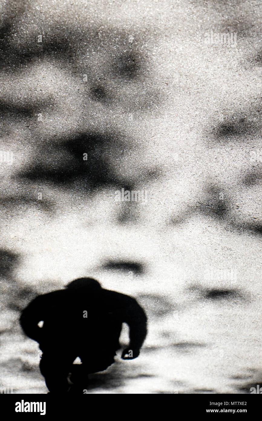 Ombra silhouette di un uomo camminare sotto le cime degli alberi sulla strada di città in bianco e nero Foto Stock