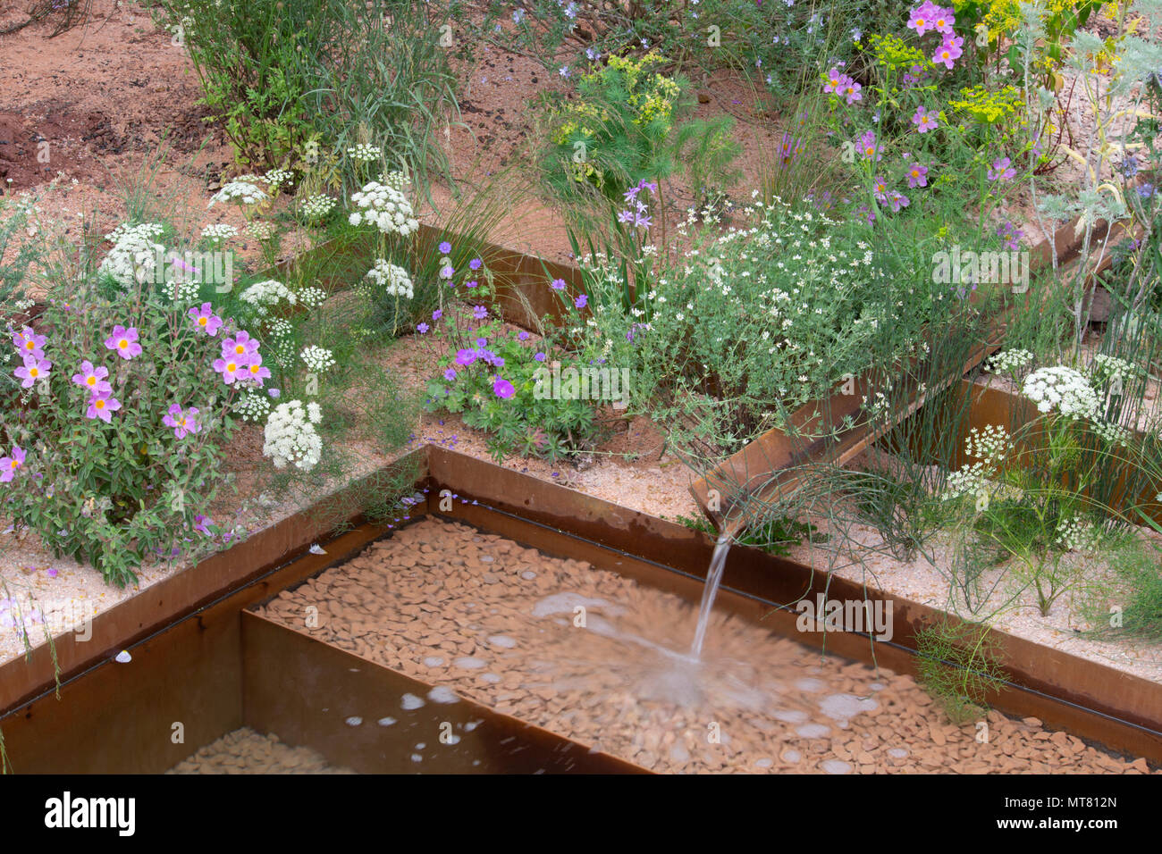 Un ruscello alimentando in uno stagno circondato da piante tra cui Daucus gingidium e Cistus creticus in M&G giardino disegnato da Sarah Prezzo al RHS CH Foto Stock