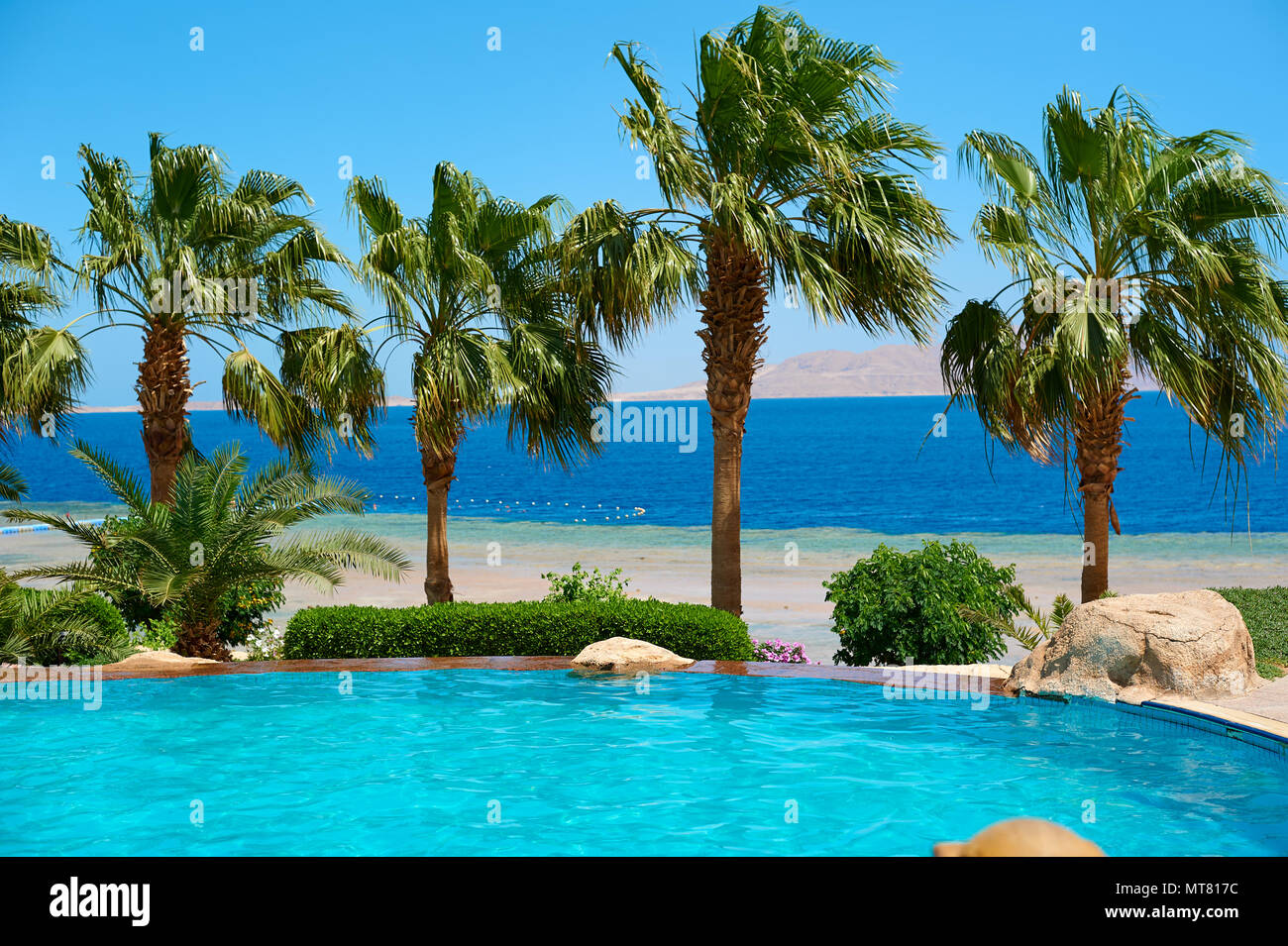 Estate palme sulla passeggiata costiera che si affaccia sul Mar Rosso e in piscina, il concetto di viaggio in Egitto Sharm El Sheikh Foto Stock