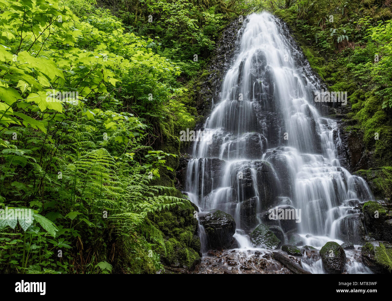 Fairy Falls Foto Stock