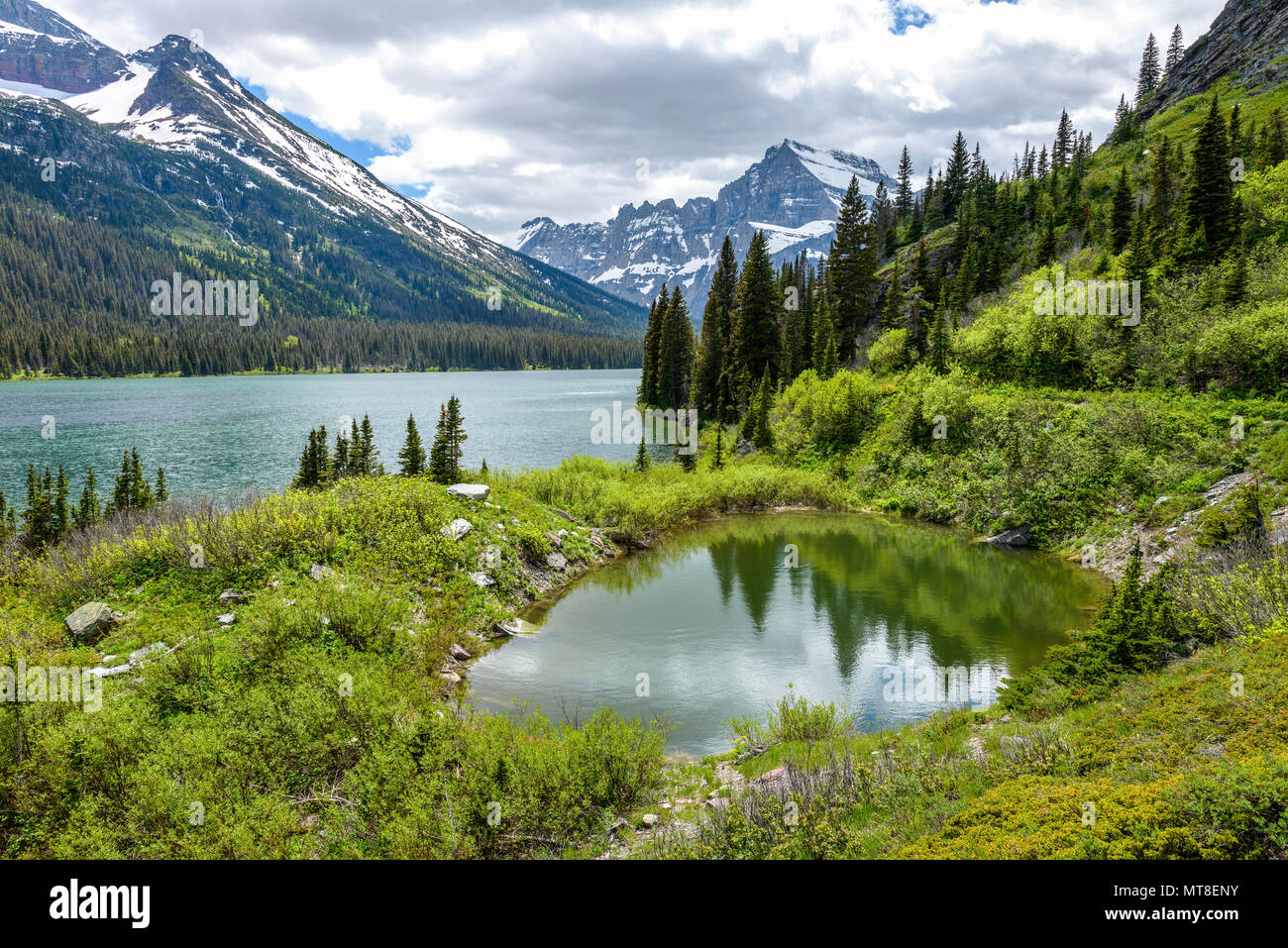 Molla laghetto di montagna - la luce del sole splende attraverso le nuvole di primavera su un piccolo stagno a lato del lago di Josephine in molti ghiacciaio del Glacier National Park, Stati Uniti d'America. Foto Stock