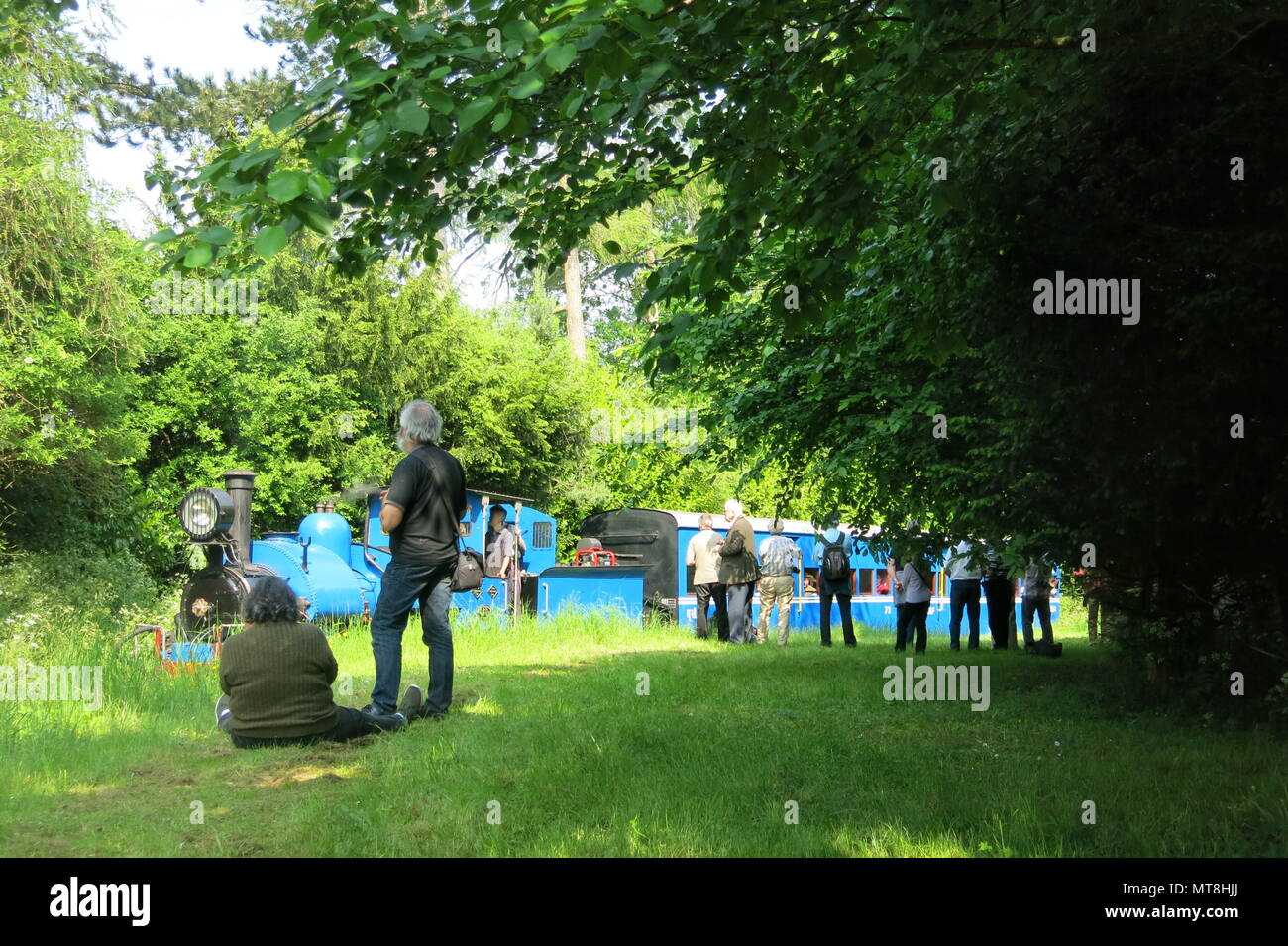 Un blu brillante motore a vapore sul giardino ferrovia a Adrian del tiratore faggi Light Railway Foto Stock