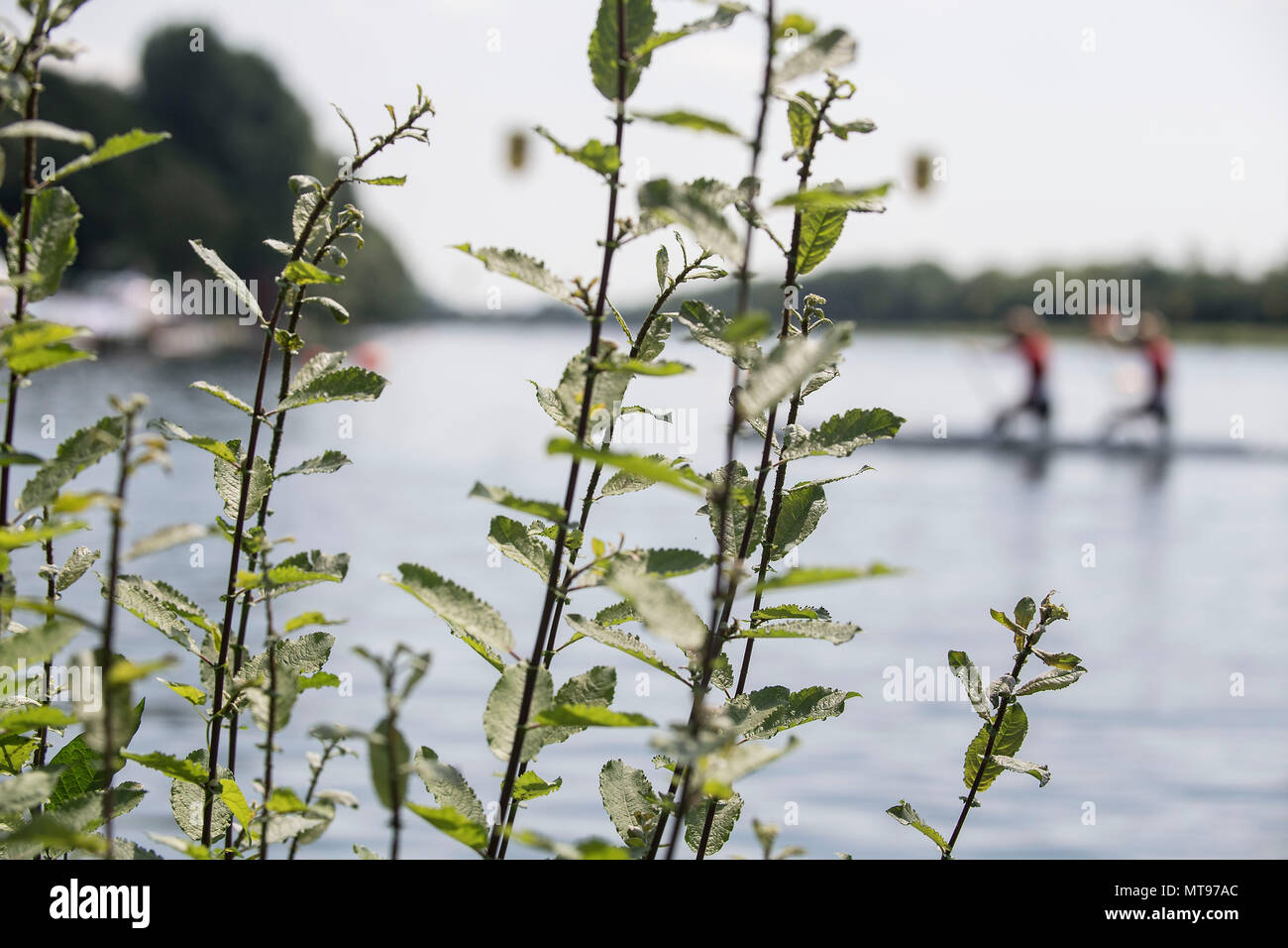 Duisburg, Deutschland. 26 Maggio, 2018. Funzione, natura presso la regata via in Duisburg Wedau, via, regata, finale donne K2 Donne 500m, su 26.05.2018 Canoa ICF World Cup Duisburg dal 25.05. - 27.05.2018 a Duisburg/Germania. | Utilizzo di credito in tutto il mondo: dpa/Alamy Live News Foto Stock