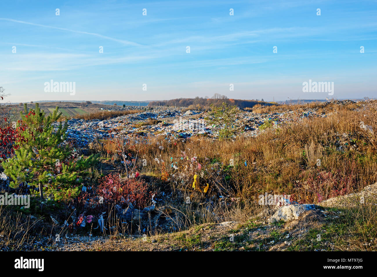 La spontanea stupido su greenfield. La contaminazione dell'ambiente. Foto Stock