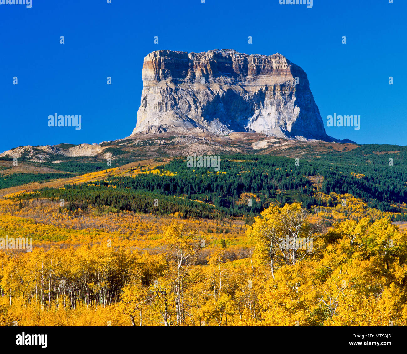 I colori dell'autunno sotto il capo di montagna sul confine orientale del parco nazionale di Glacier, montana Foto Stock