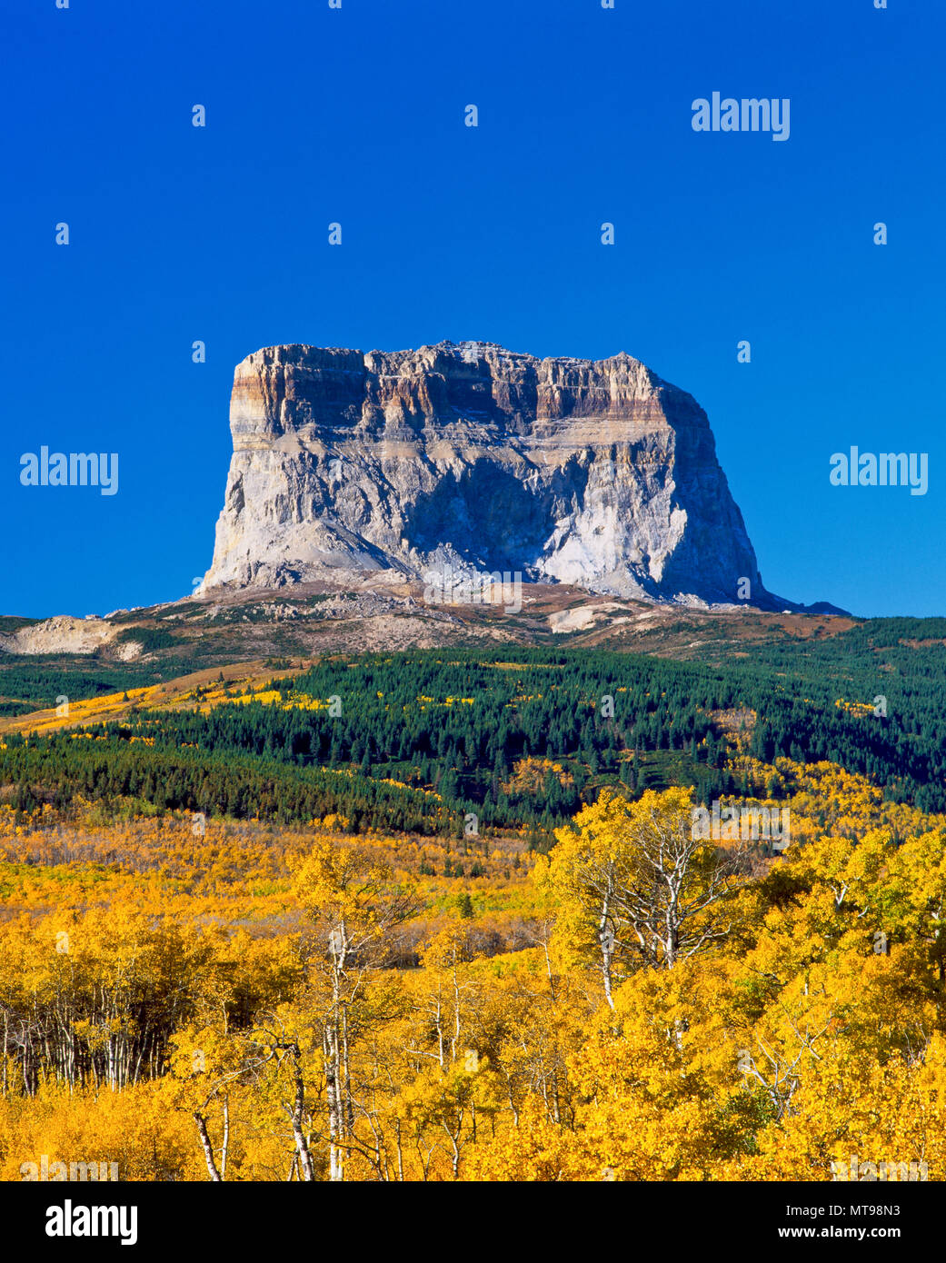 I colori dell'autunno sotto il capo di montagna sul confine orientale del parco nazionale di Glacier, montana Foto Stock