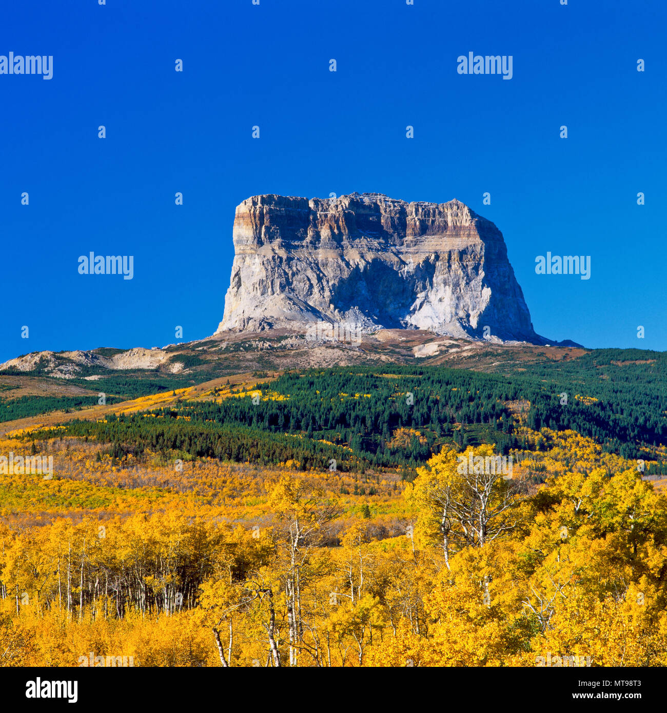 I colori dell'autunno sotto il capo di montagna sul confine orientale del parco nazionale di Glacier, montana Foto Stock