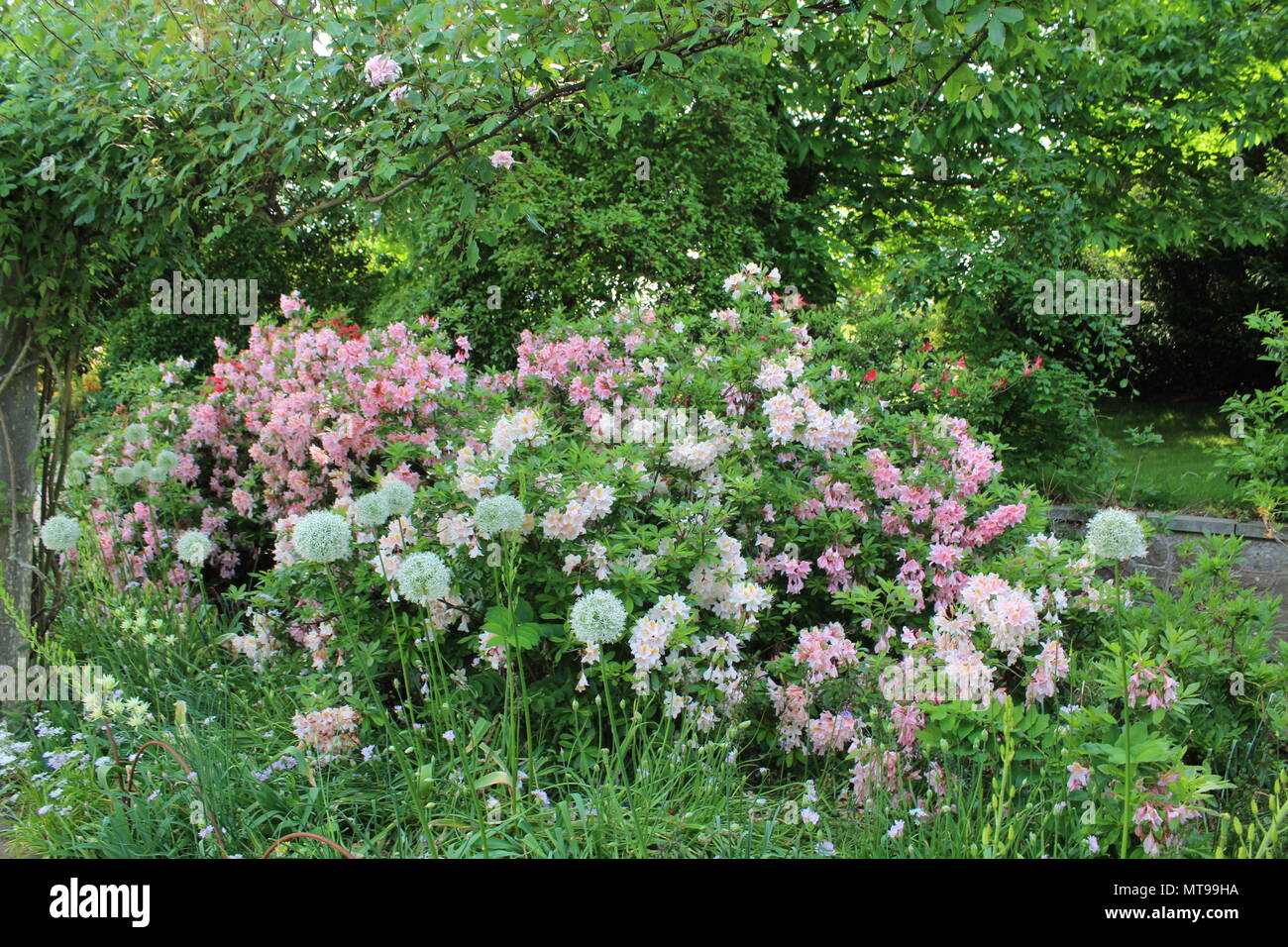 Giardini presso il giardino emmetts National Trust Foto Stock