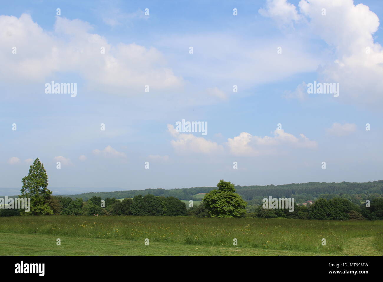 Campagna inglese con dolci colline e campi in giardino Emmetts Foto Stock