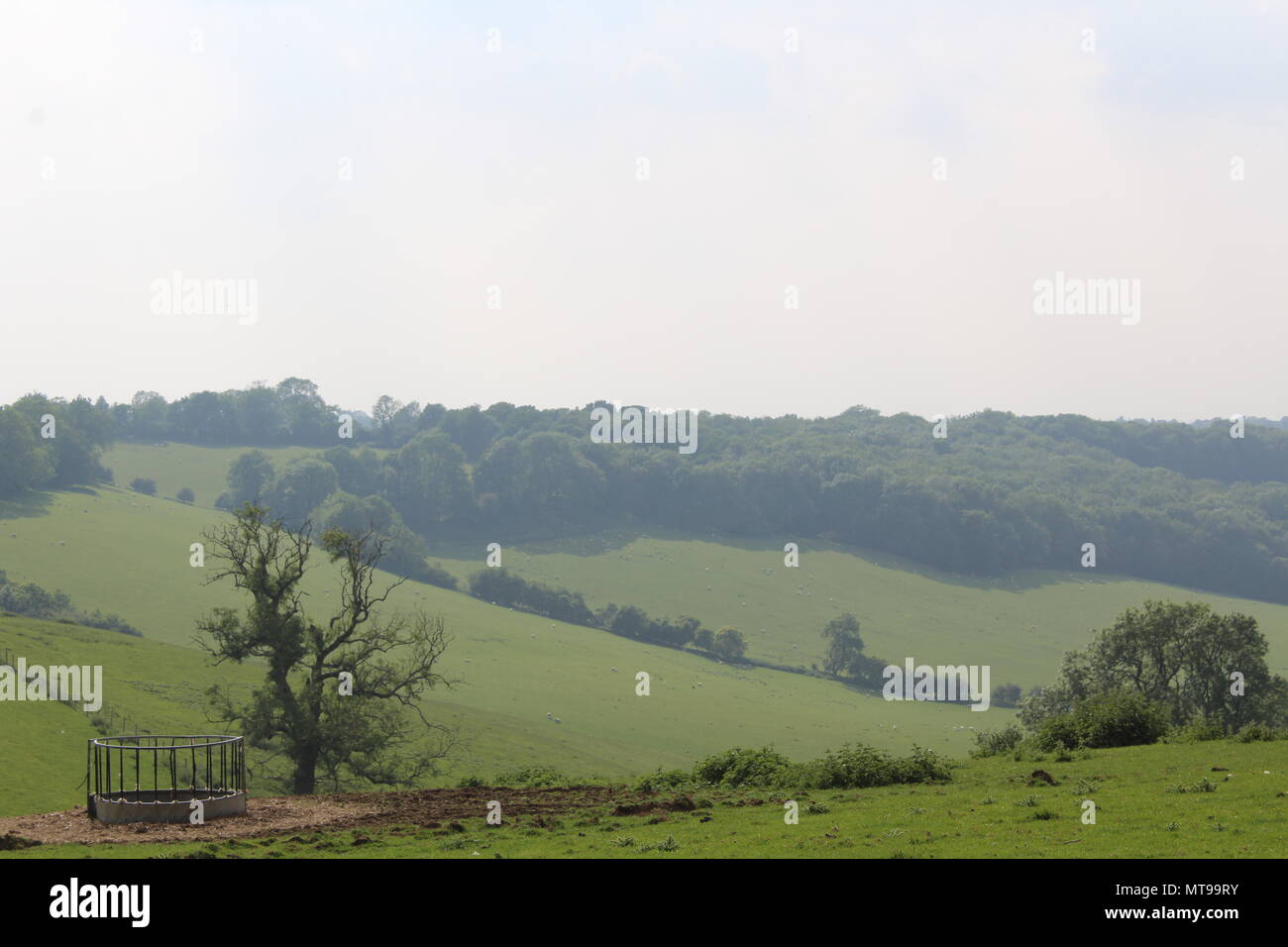 Terreni agricoli di laminazione nel Surrey in Inghilterra Foto Stock