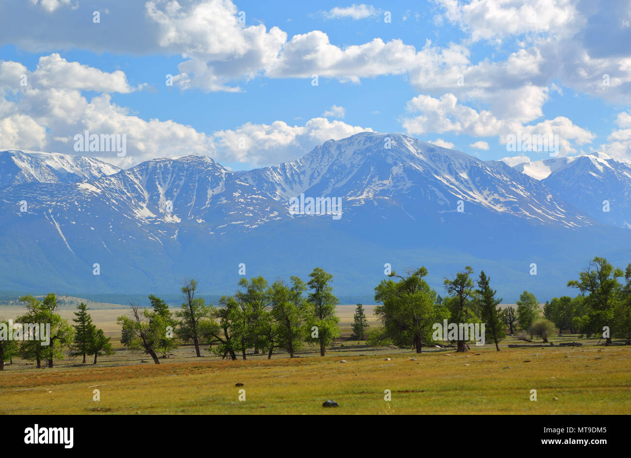 Altai Montagne Paesaggio Foto Stock