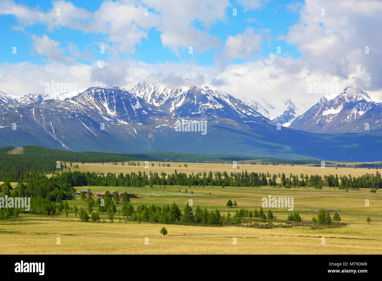 Valle Kuray paesaggio di montagne di Altai Foto Stock