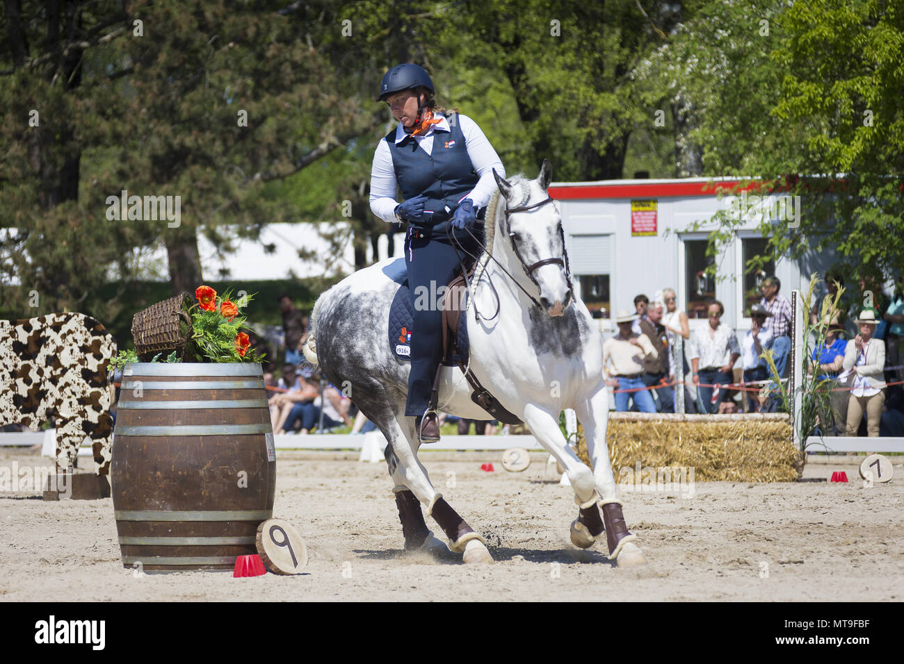 Kelly van Gent in un galoppo su un grigio Pimto cavallo durante un concorso. EM 2016, Monaco di Baviera Foto Stock