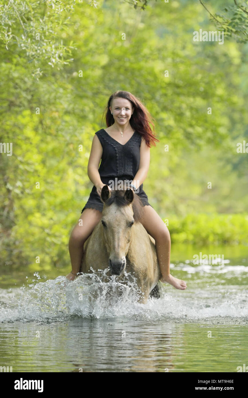 Il tedesco cavalcare pony. Giovane donna sul dorso di un cavallo dun in un flusso. Germania Foto Stock