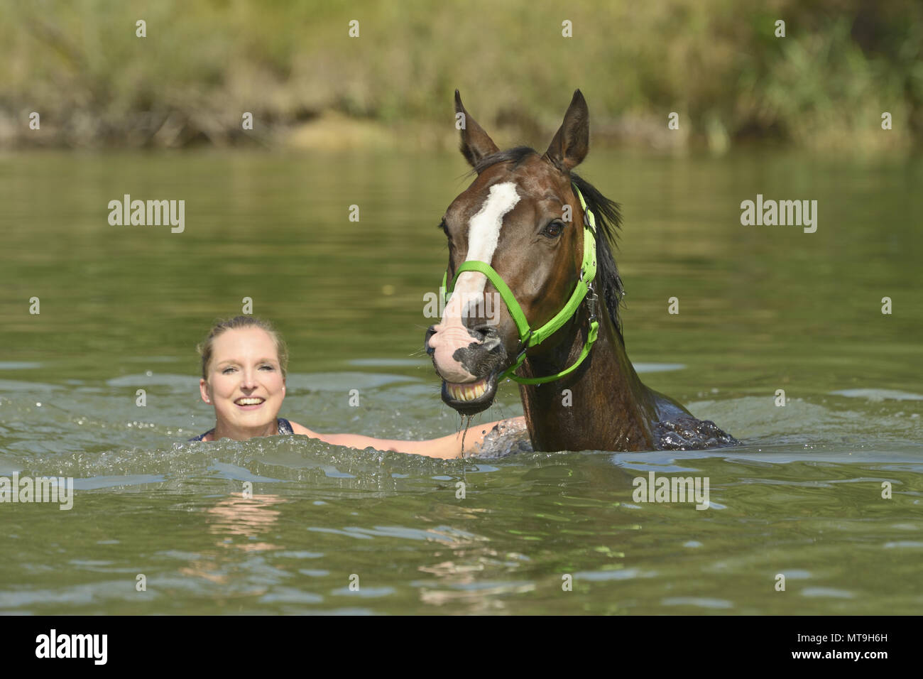 La donna e il suo cavallo bavarese di nuotare in un lago. Grmany Foto Stock