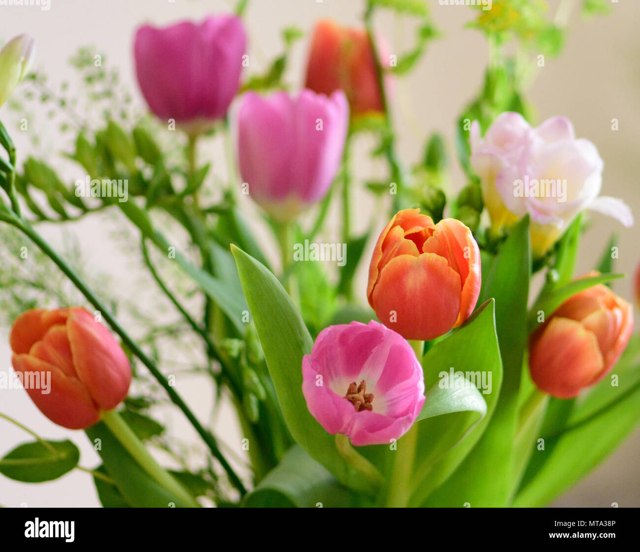 Un assortimento di fiori recisi in un vaso. Foto Stock