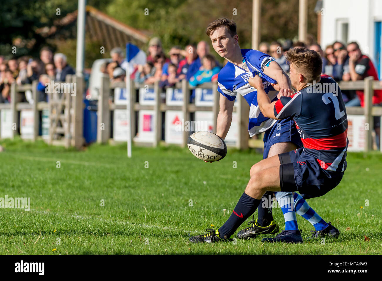 Amateur giocatore di rugby in blu tiene fuori il tackler con una mano mentre alleggerendo la palla con gli altri, come la folla guarda su Foto Stock