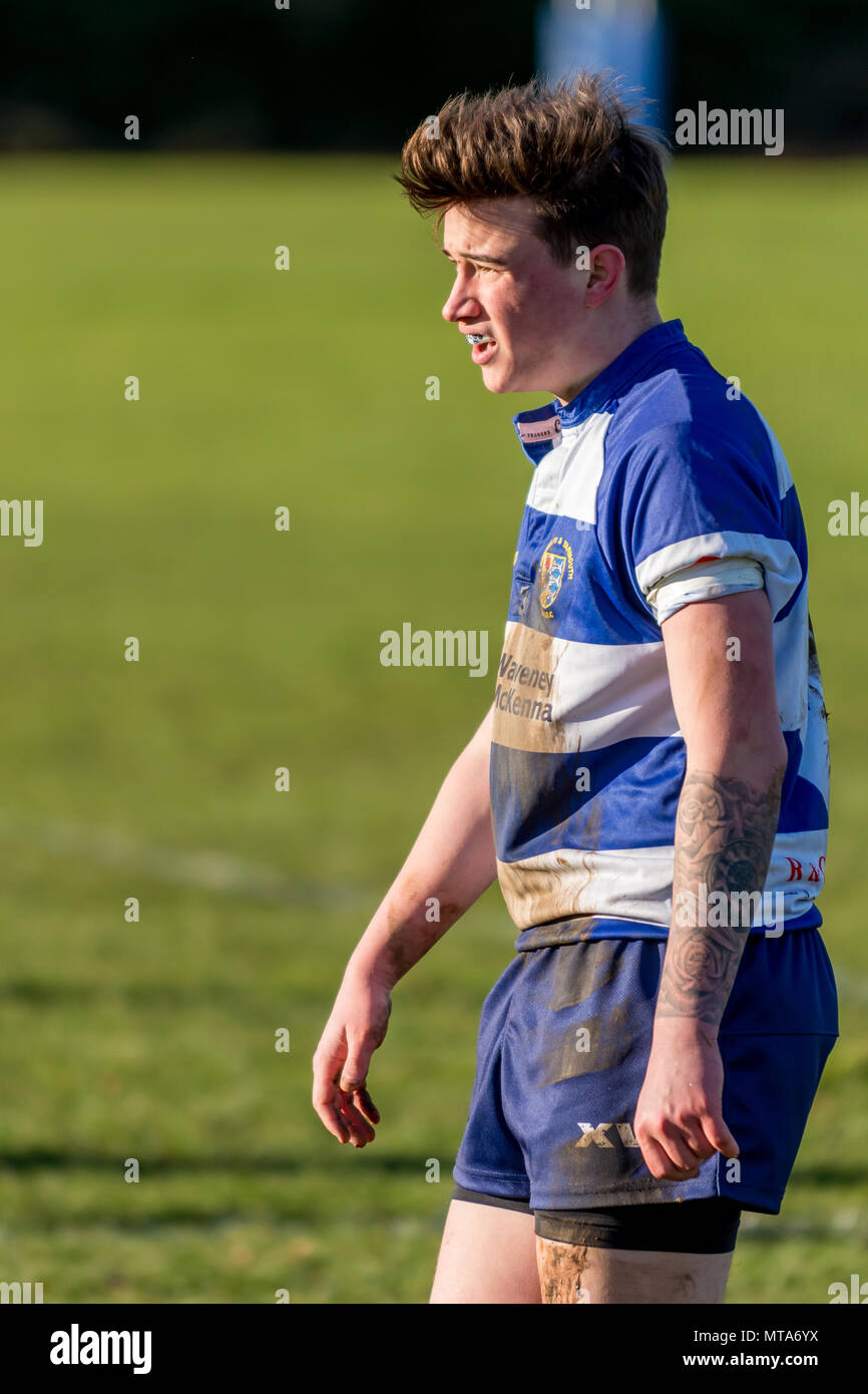 Giovani (19 anni) amatoriale giocatore di rugby cercando lateralmente da destra a sinistra. Player illuminate dalla luce del sole, con kit fangose e manicotto di tatuaggio Foto Stock