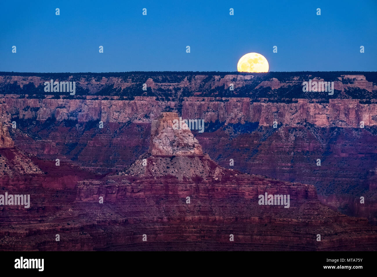Panorama del Grand Canyon con luna crescente, Arizona, Stati Uniti d'America Foto Stock