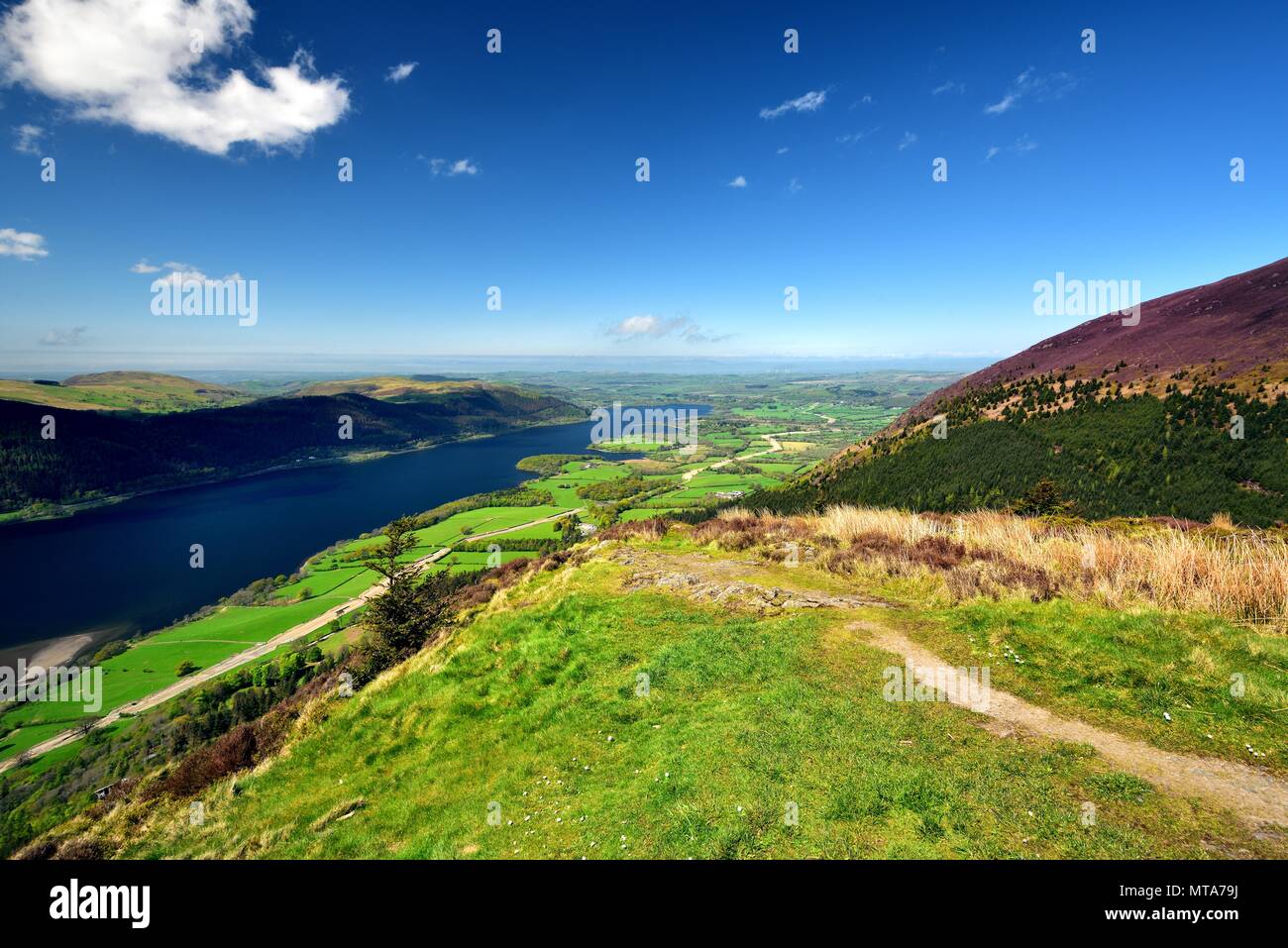 Nuvole ribaltamento Thornthwaite Forest Foto Stock