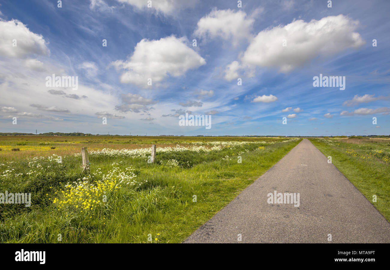 Secondario piccola strada rurale nel paesaggio dei polder olandesi con prati verdi e blu cielo Foto Stock