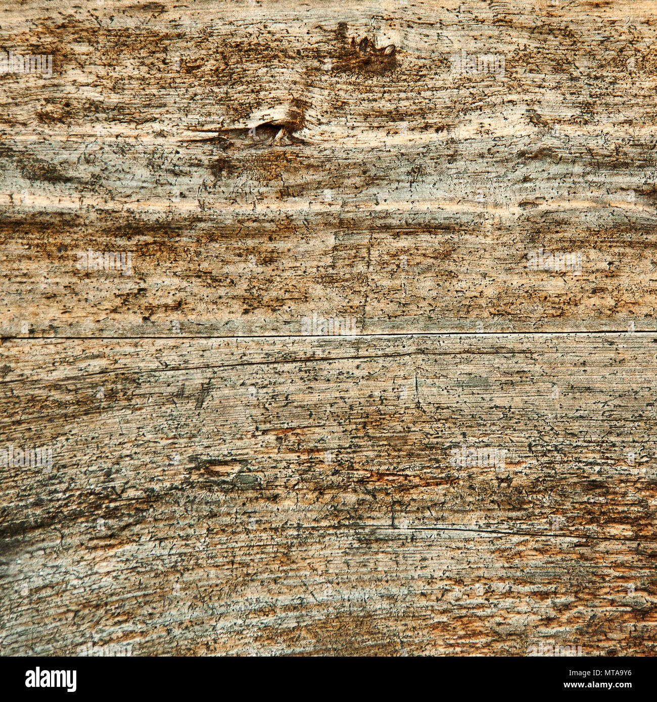 Grunge texture di legno. Modello di vecchio alterò la parete in legno Foto Stock