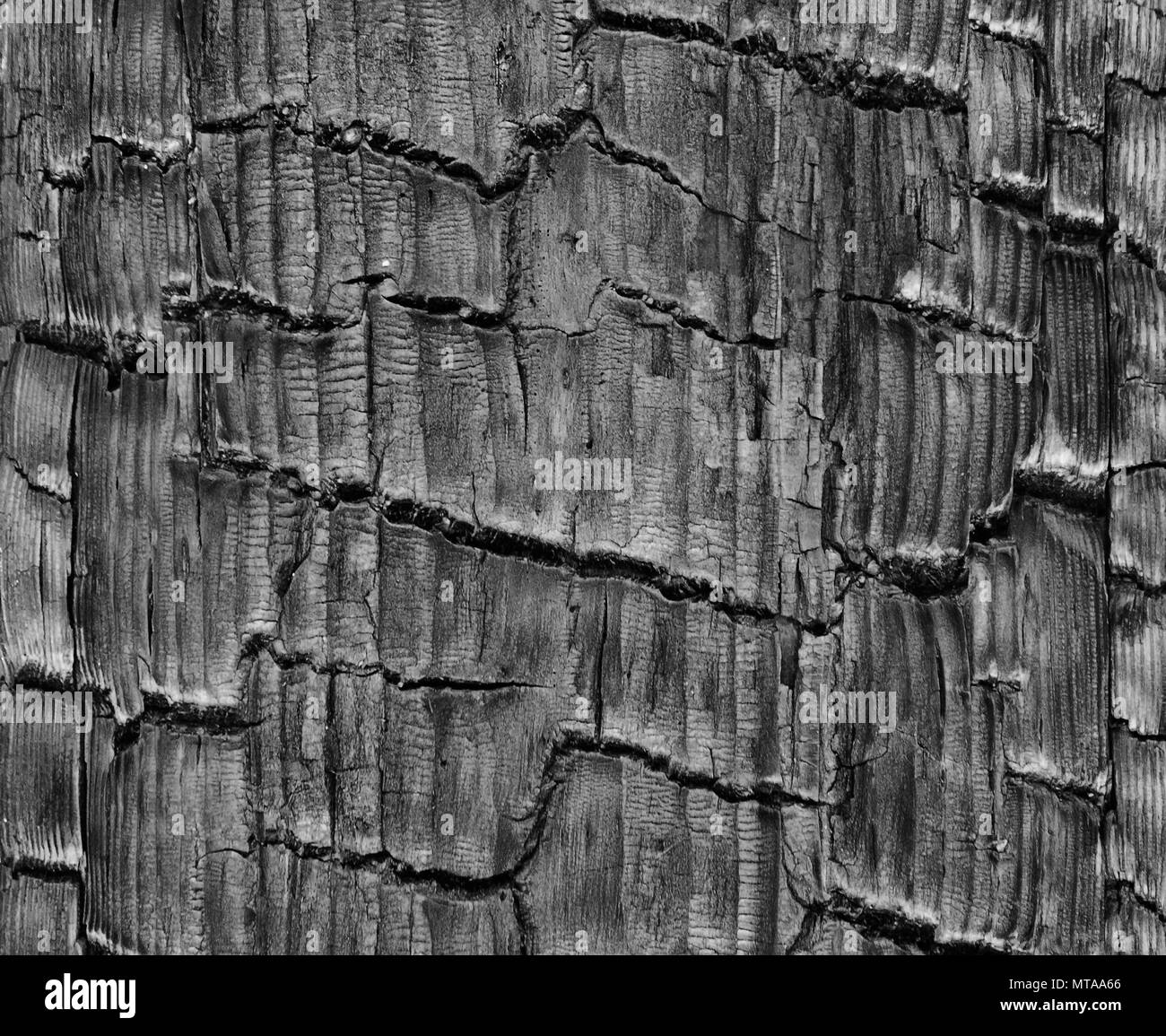 Il legno vecchio muro sfondo texture Foto Stock